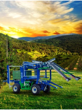 AUTO MOTRIZ C/ MANGAS - TAPIS